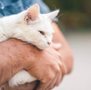 Owner holding his white cat