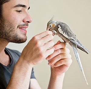 Owner holding his small bird