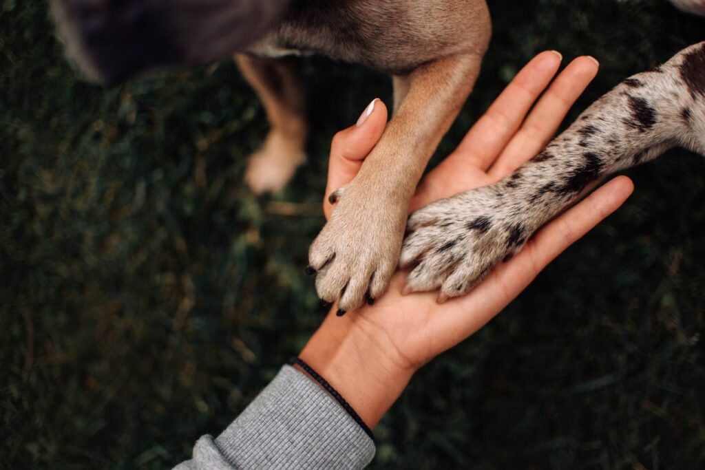 woman holding two dog paws in her hand
