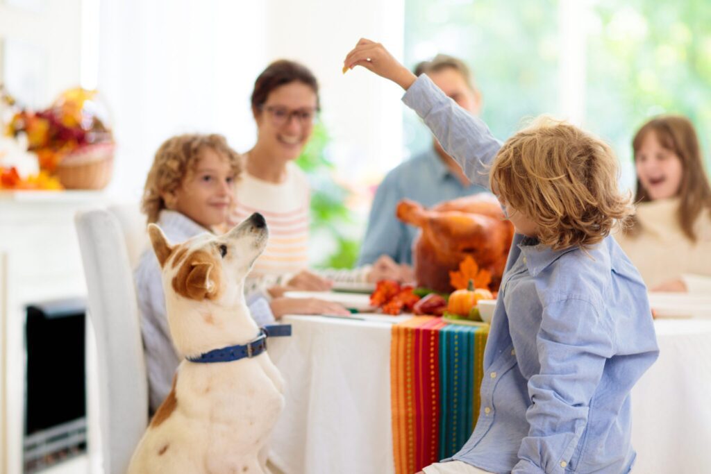 dog begging for food at the table while the family eats