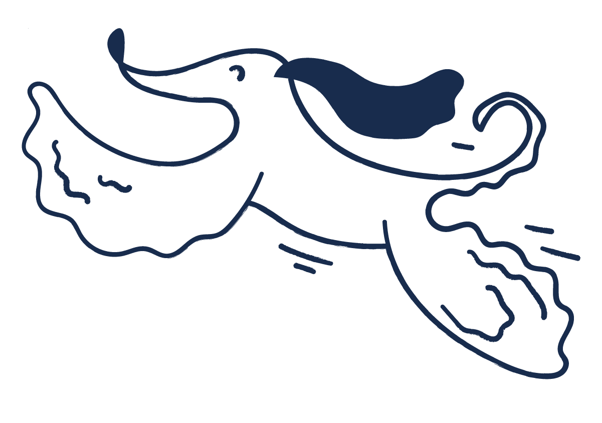 illustration of a dog running