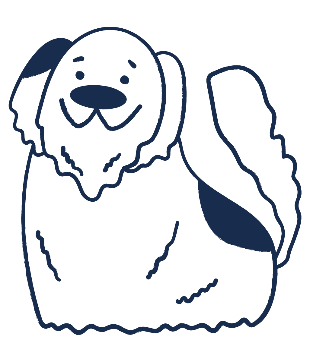 illustration of a shaggy dog